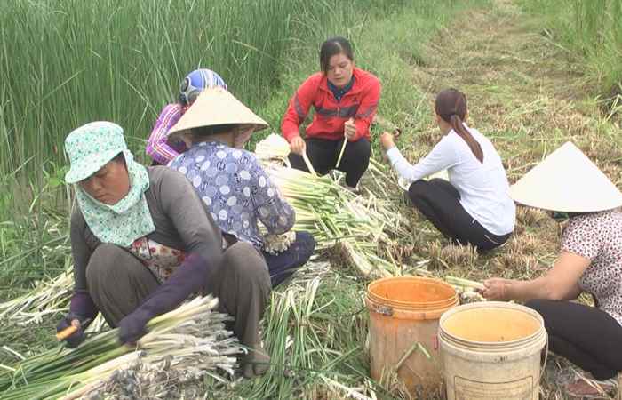 Phụ nữ ngày nay - Một năm nhiều dấu ấn (10-02-2020)