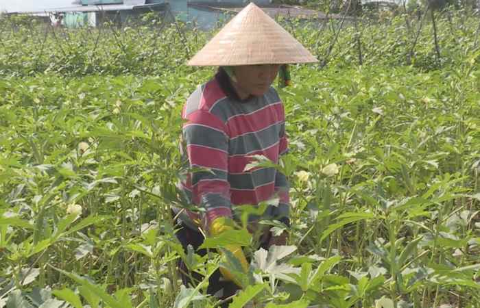 Phụ Nữ - Phụ nữ Sóc Trăng đẩy mạnh việc học tập và làm theo lời Bác (11-05-2020)