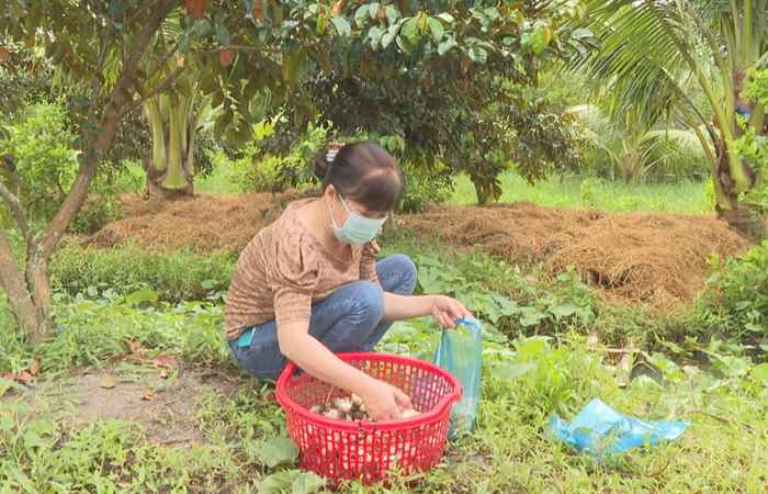 Phụ Nữ Sóc Trăng (12-07-2021)