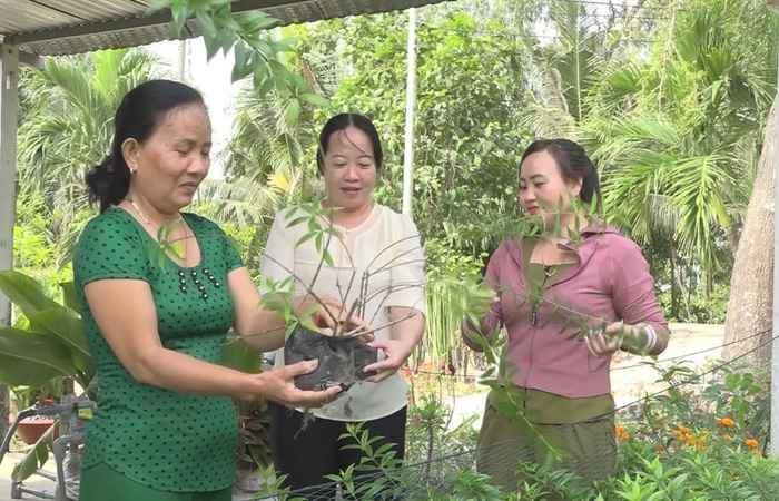 Phụ Nữ Sóc Trăng (13-11-2024)