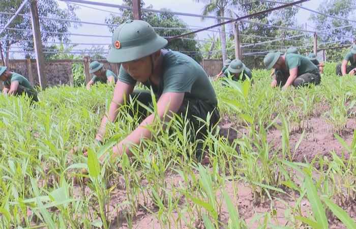 Chuyên mục: Quốc phòng toàn dân (09-06-2023)