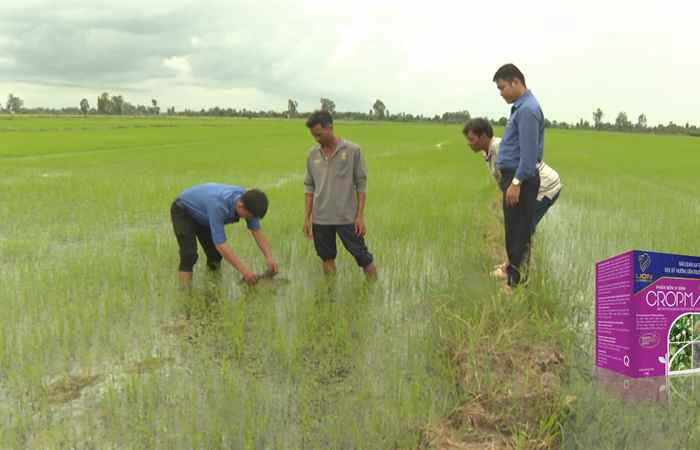  Sản phẩm truyền thông: Sinh học vi sinh Cropmate (28-06-2023)