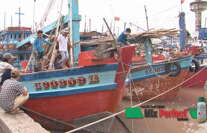 Sau bão, tàu thuyền tất bật chuẩn bị ra khơi trở lại 