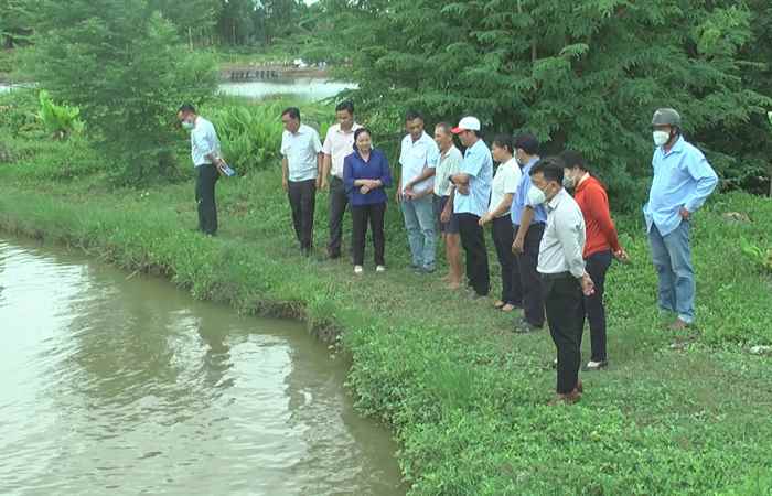 Sở NN&PTNN Sóc Trăng khảo sát tình hình nuôi tôm ơ Vĩnh Châu