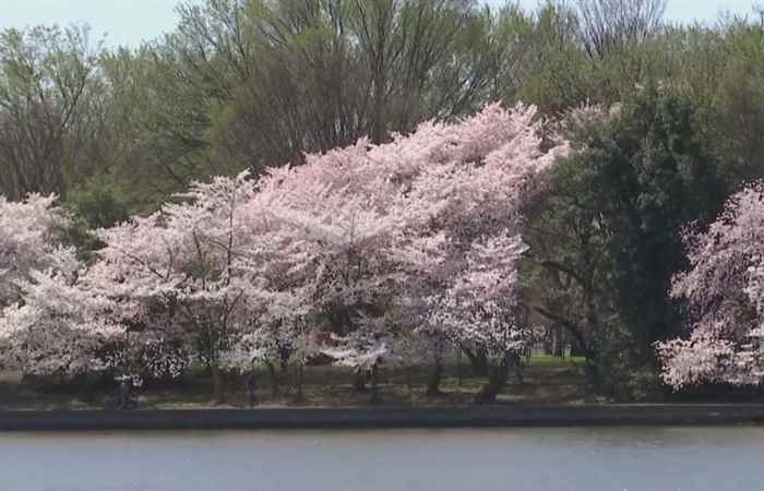 Sóc Trăng ngày mới (01-04-2021)