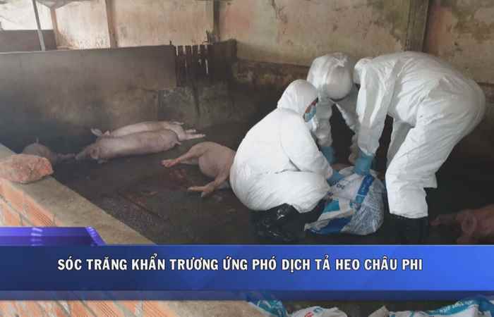 Sóc Trăng ngày mới 01-06-2019