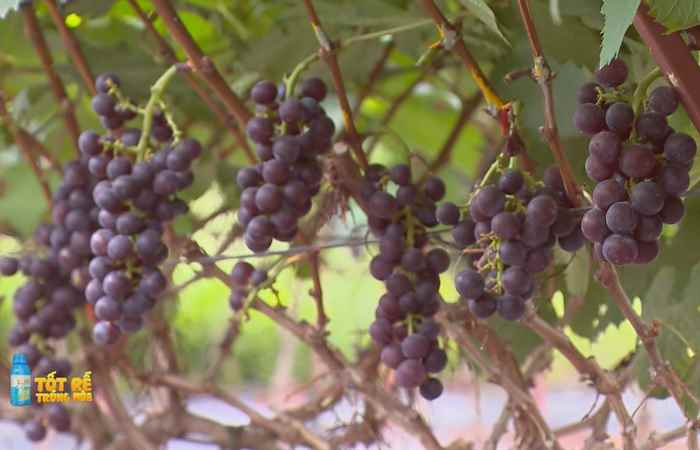 Sóc Trăng Ngày mới (01-07-2023)