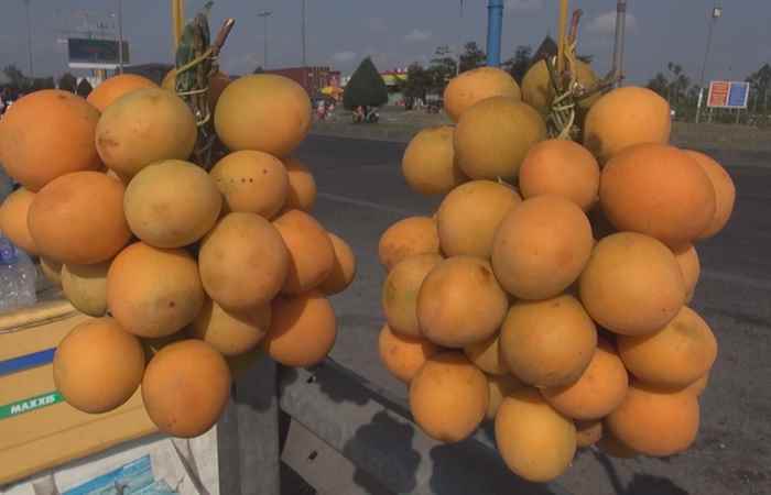 Sóc Trăng ngày mới 02-04-2019