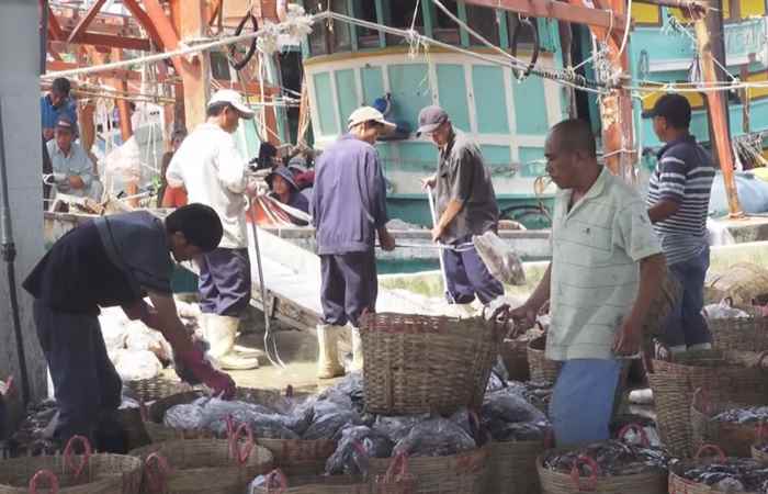 Sóc Trăng ngày mới (04-11-2019)