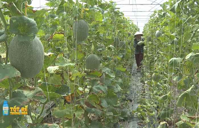 Sóc Trăng Ngày mới (05-07-2023)