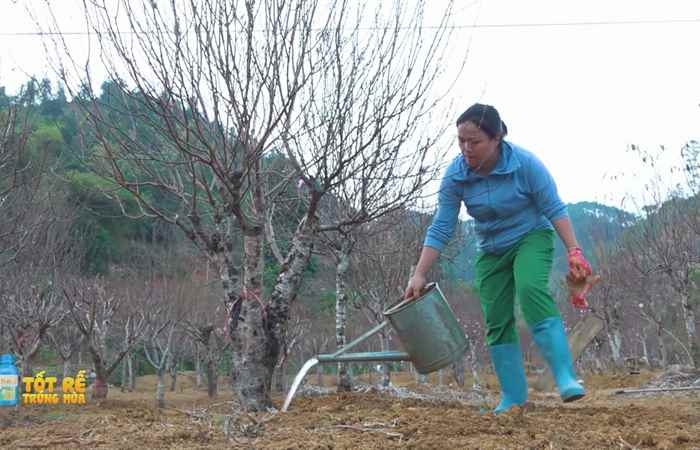 Sóc Trăng Ngày mới (06-02-2024)