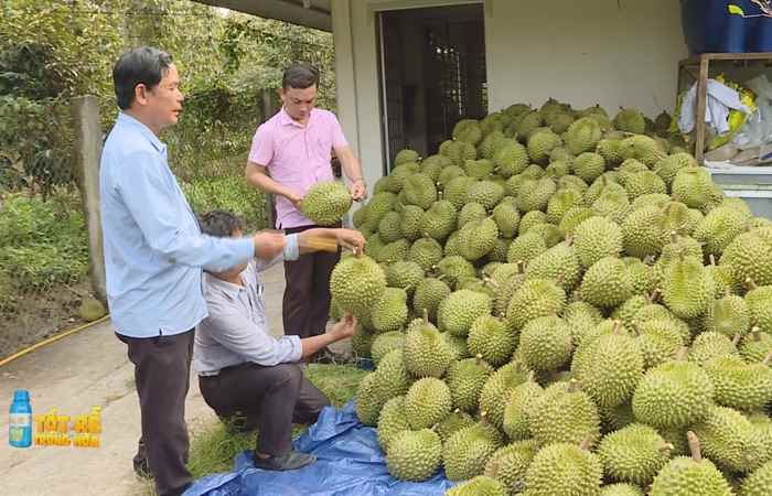  Sóc Trăng Ngày mới (06-04-2023)