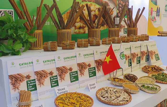 Sóc Trăng ngày mới (06-04-2025)