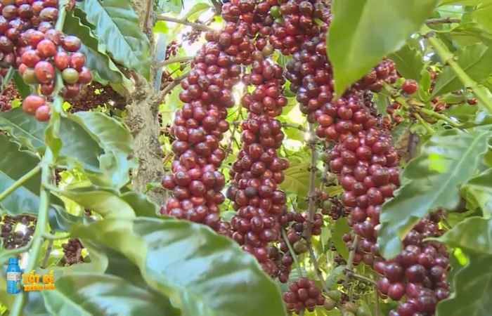 Sóc Trăng Ngày mới (06-09-2022)