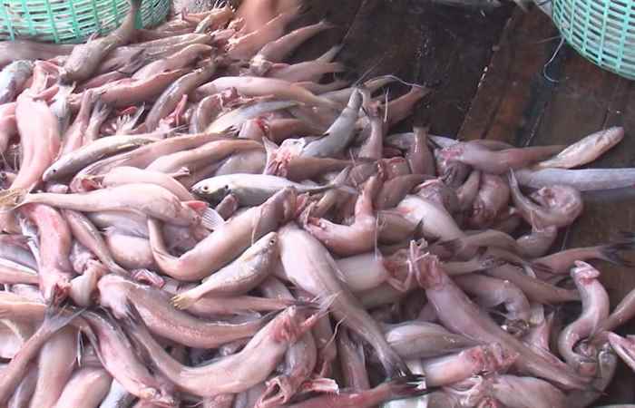 Sóc Trăng ngày mới (07-04-2021)