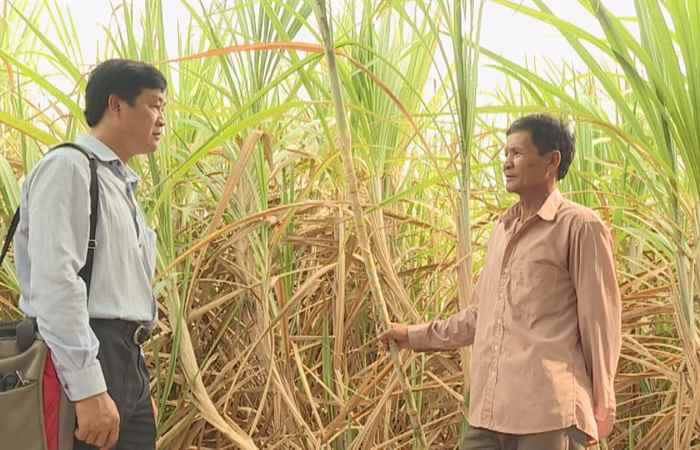 Sóc Trăng ngày mới (07-05-2020)