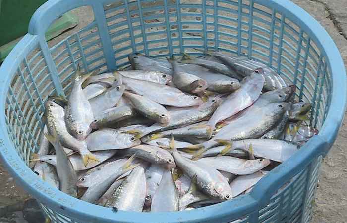 Sóc Trăng ngày mới (07-05-2021)