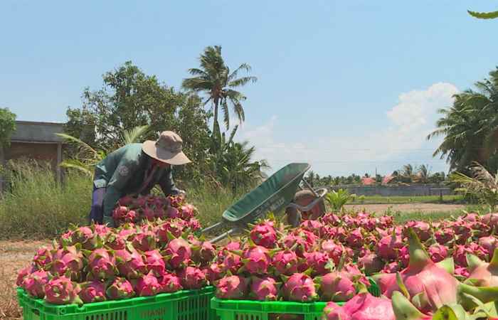 Sóc Trăng ngày mới (08-03-2021)