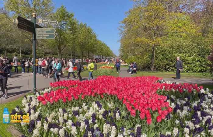 Sóc Trăng Ngày mới (08-05-2023)