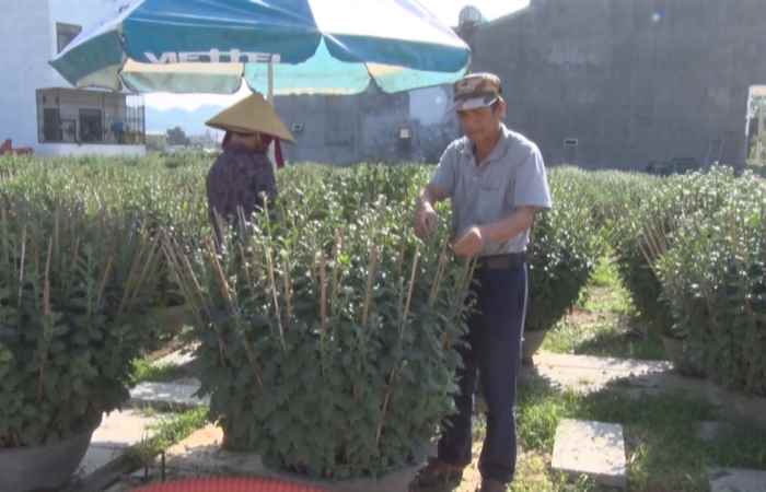 Sóc Trăng ngày mới (09-01-2020)