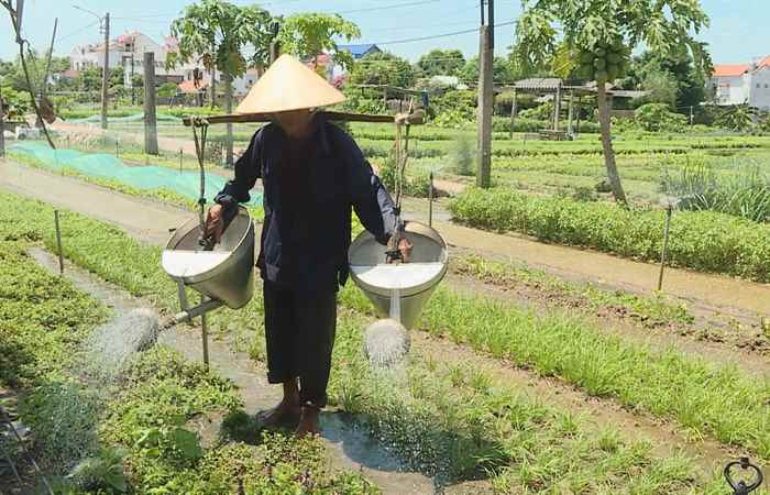 Sóc Trăng Ngày mới (09-09-2024)