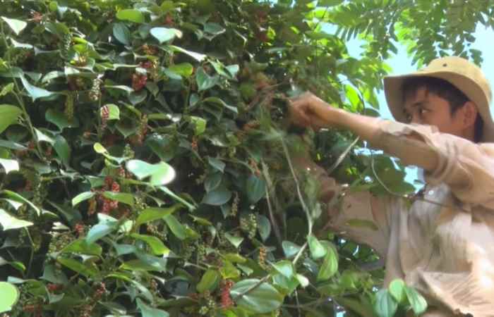 Sóc Trăng ngày mới 09-12-2018