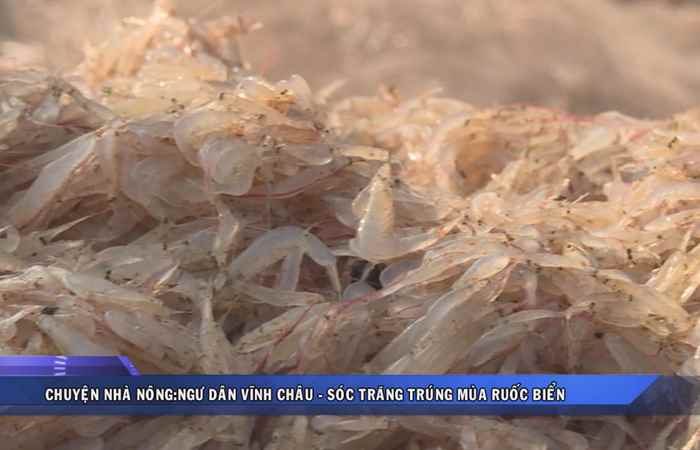 Sóc Trăng ngày mới 10-05-2018