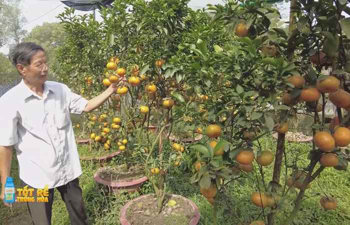 Sóc Trăng Ngày mới (11-01-2023)