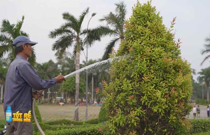 Sóc Trăng Ngày mới (12-03-2024)