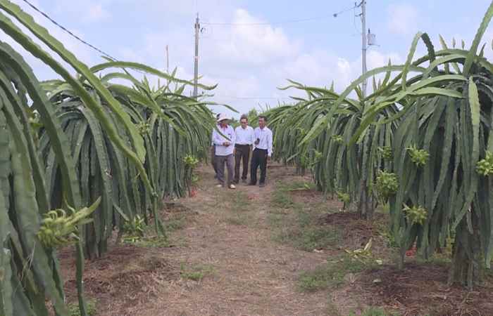 Sóc Trăng ngày mới (12-04-2021)