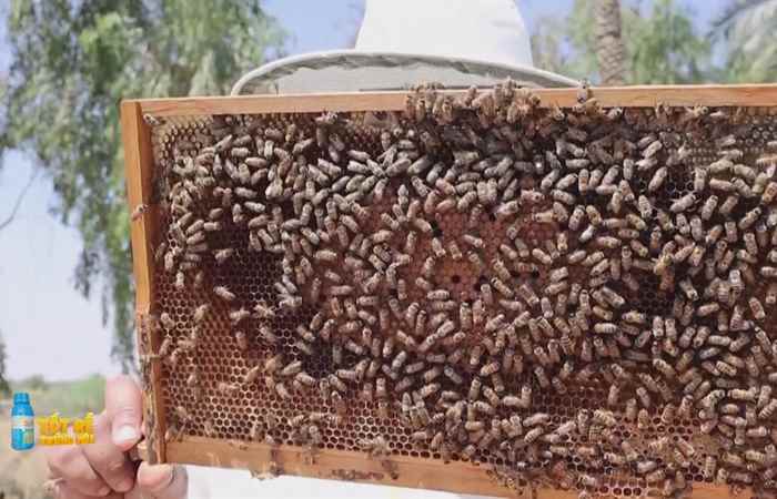 Sóc Trăng Ngày mới (12-05-2023)