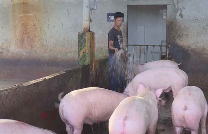 Sóc Trăng ngày mới 13-03-2019