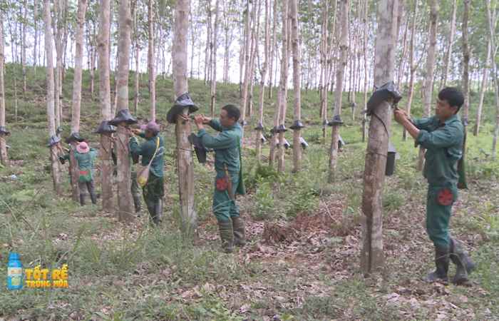 Sóc Trăng Ngày mới (13-06-2023)