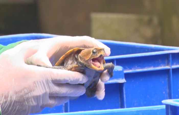 Sóc Trăng ngày mới (14-03-2021)