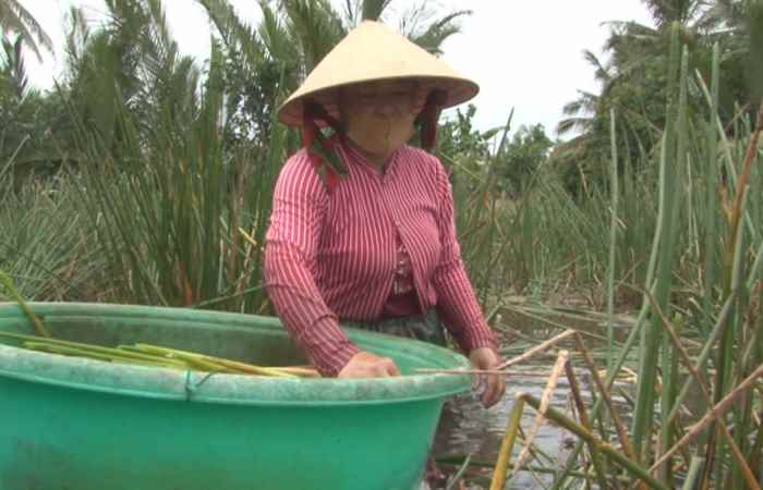Sóc Trăng ngày mới (14-10-2020)