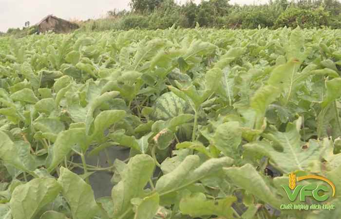 Sóc Trăng ngày mới 14-12-2018