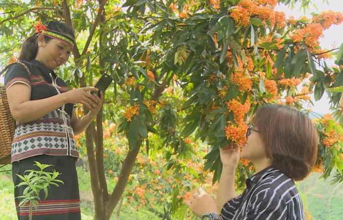 Sóc Trăng ngày mới (15-03-2021)