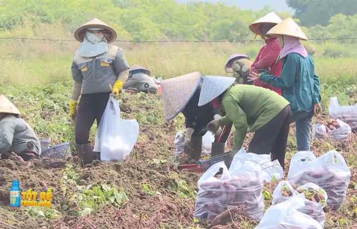 Sóc Trăng Ngày mới (15-04-2024)
