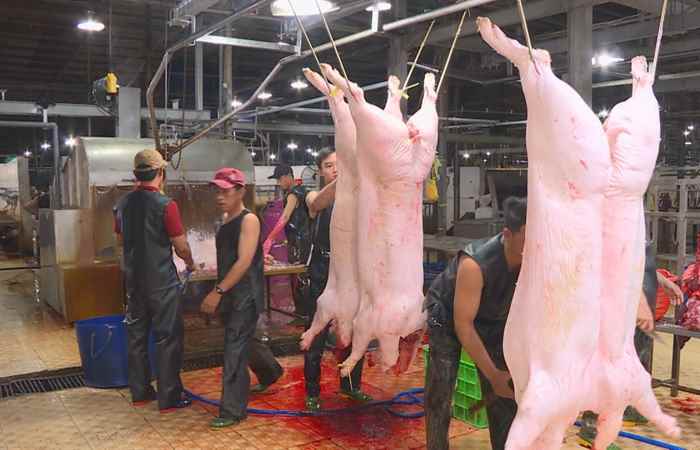 Sóc Trăng ngày mới 15-05-2019