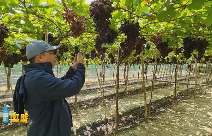 Sóc Trăng Ngày mới (15-06-2023)