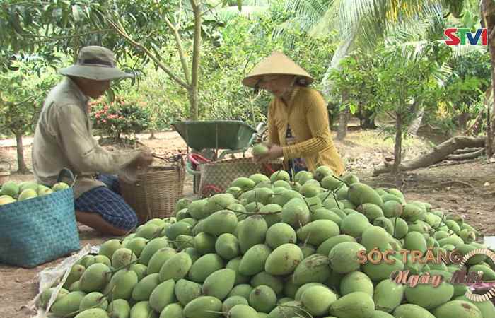Sóc Trăng ngày mới 15-12-2018