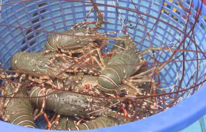 Sóc Trăng ngày mới 16-04-2020