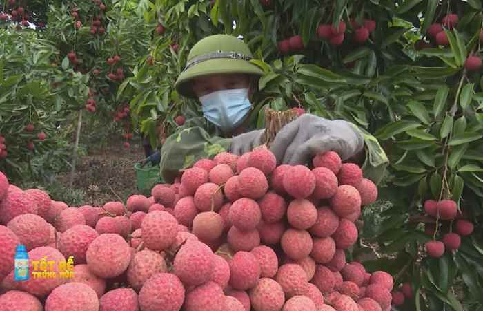 Sóc Trăng Ngày mới (16-05-2022)