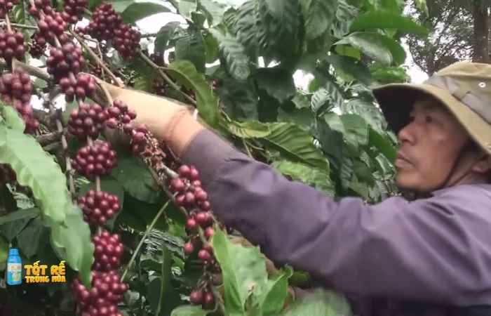 Sóc Trăng Ngày mới (16-06-2023)