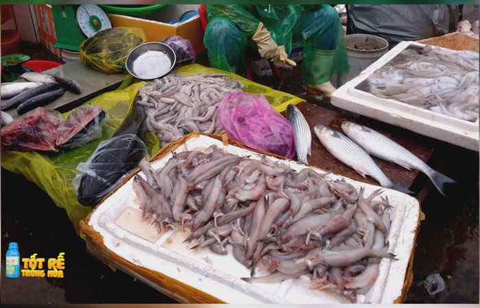 Sóc Trăng Ngày mới (16-11-2023)