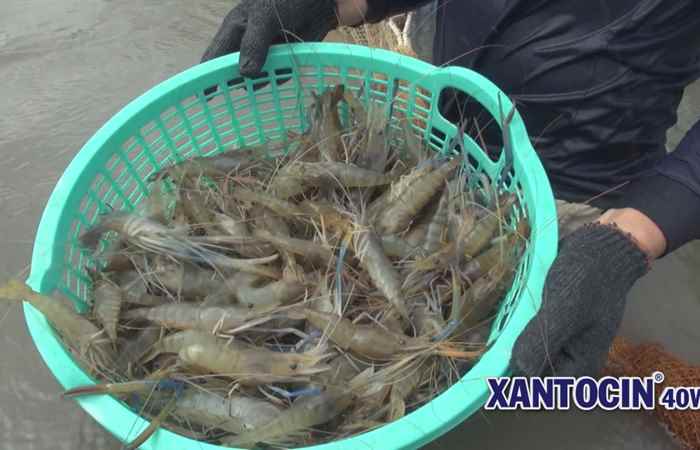 Sóc Trăng ngày mới 19-06-2018