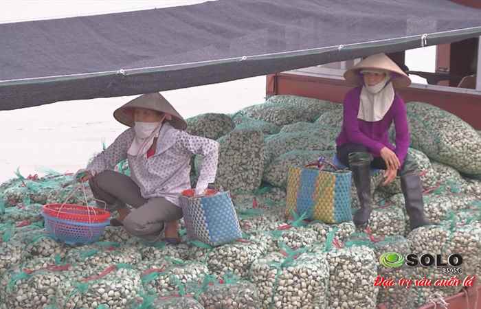 Sóc Trăng ngày mới 19-08-2018