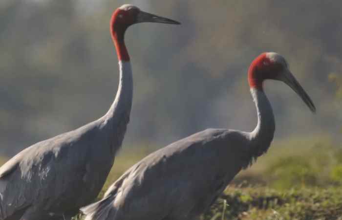 Sóc Trăng ngày mới (19-12-2024)