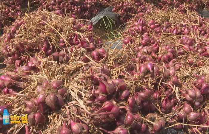 Sóc Trăng Ngày mới (20-09-2022)