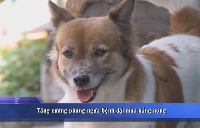 Sóc Trăng ngày mới 21-03-2018